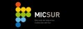 MICSUR