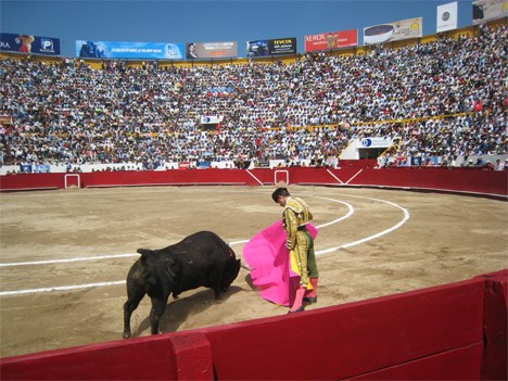 Carolina Morán conducirá la Corrida de Toros para Unicable