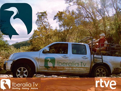 RTVE inicia distribución internacional de Iberalia TV