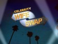 Celebrity wife swap
