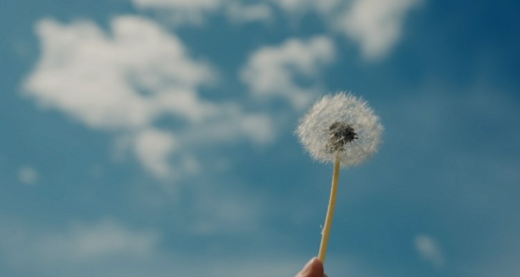 Look See Wow! de Particle6 Productions se globaliza con Jetpack ...