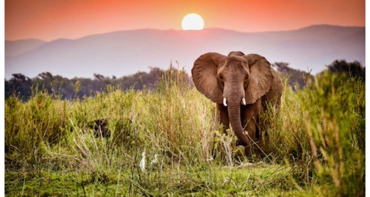 GRB Media Ranch penetrates African Market with Factual Programming ...