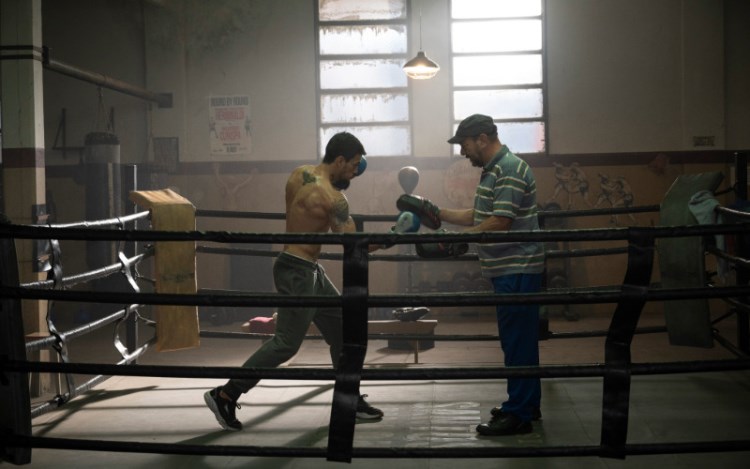 Las reglas del boxeador
